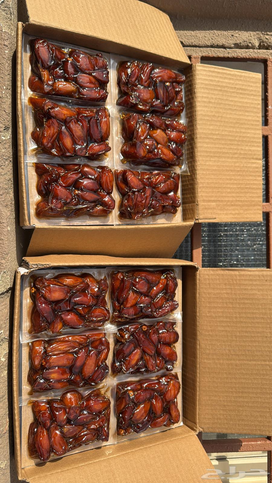 تمر صفري ملكي للبيع64541236370563112