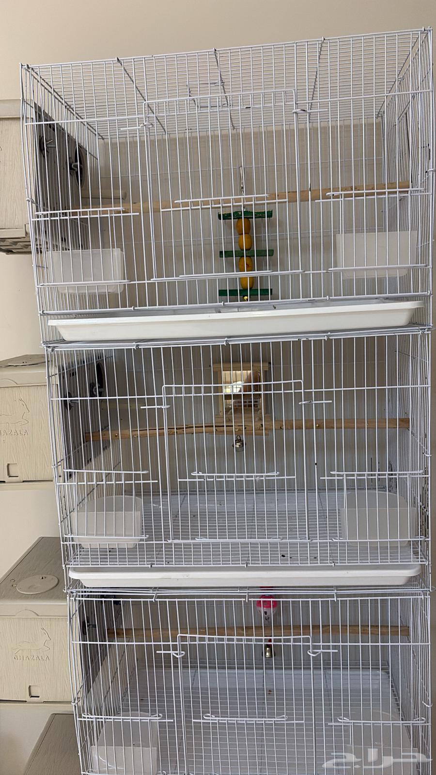 أقفاص مقاس 600 جديده مع بياضات غزاله المصريه64535541281281112