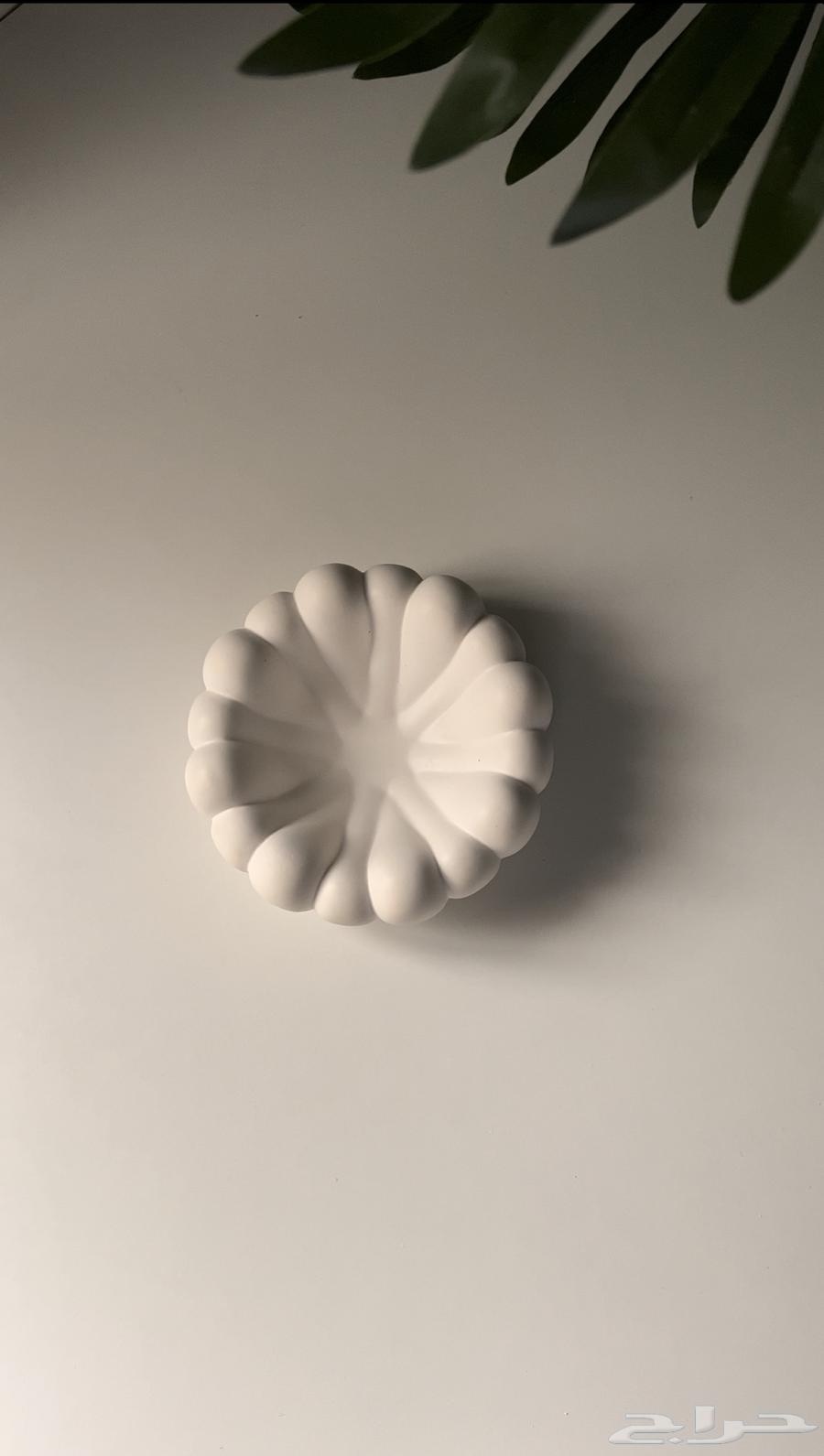 جبس فرنسي 6 ريال64539740083073113