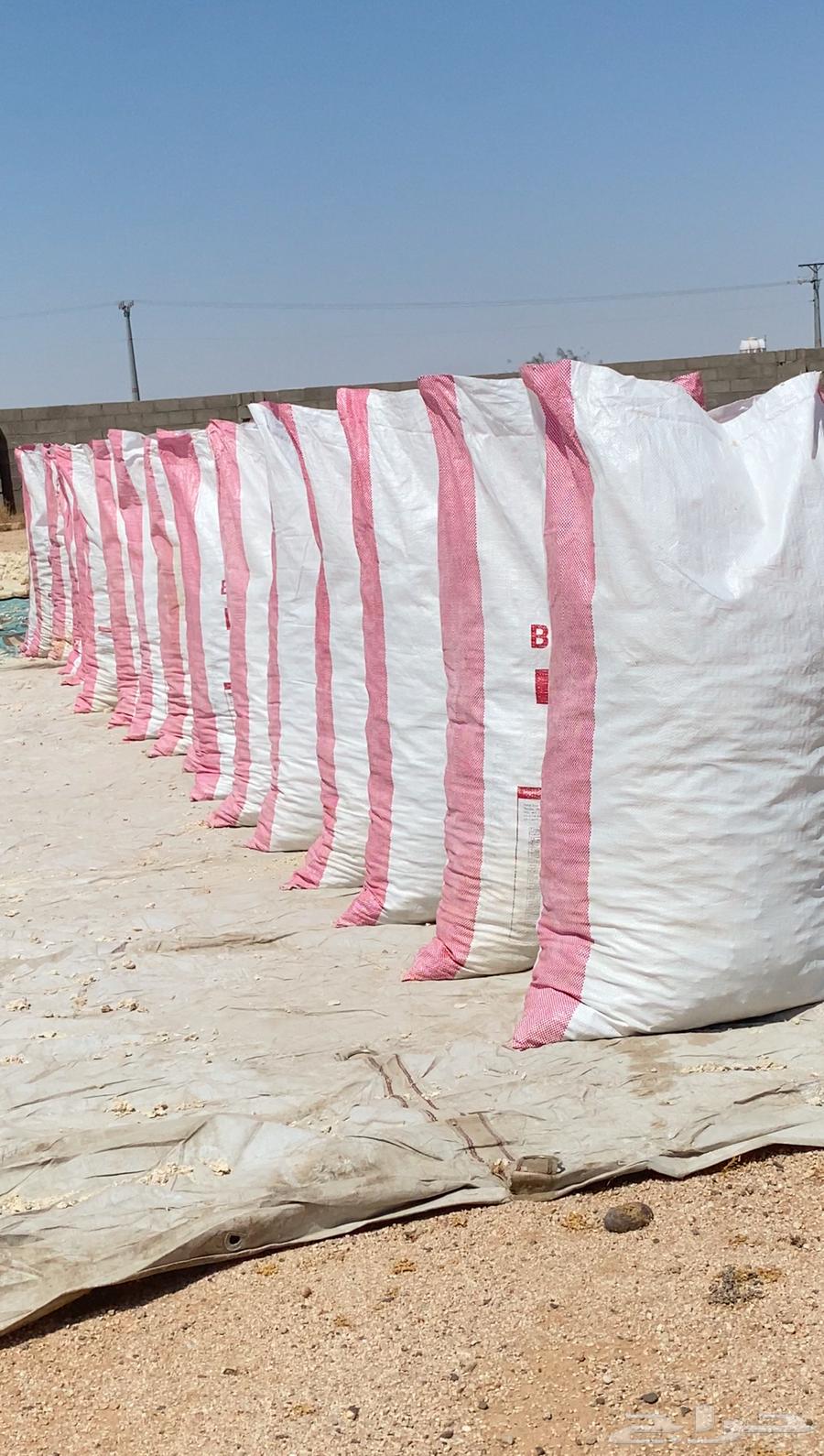 عجين للبيع64540935924482113