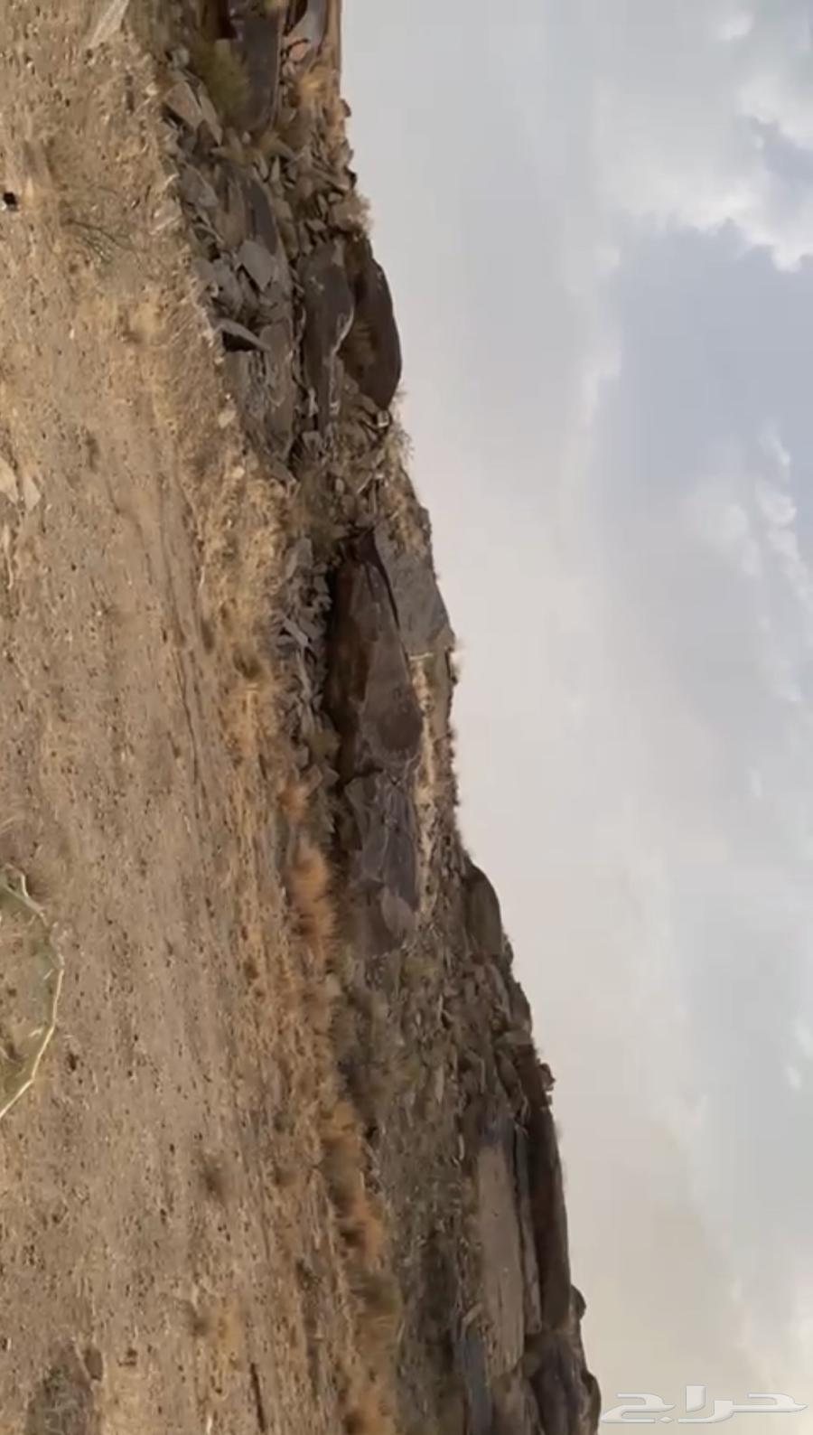 حجر للبيع64539202288386111