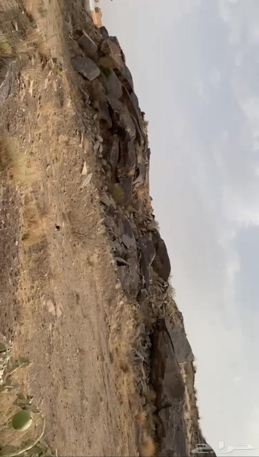 حجر للبيع64539202288386112