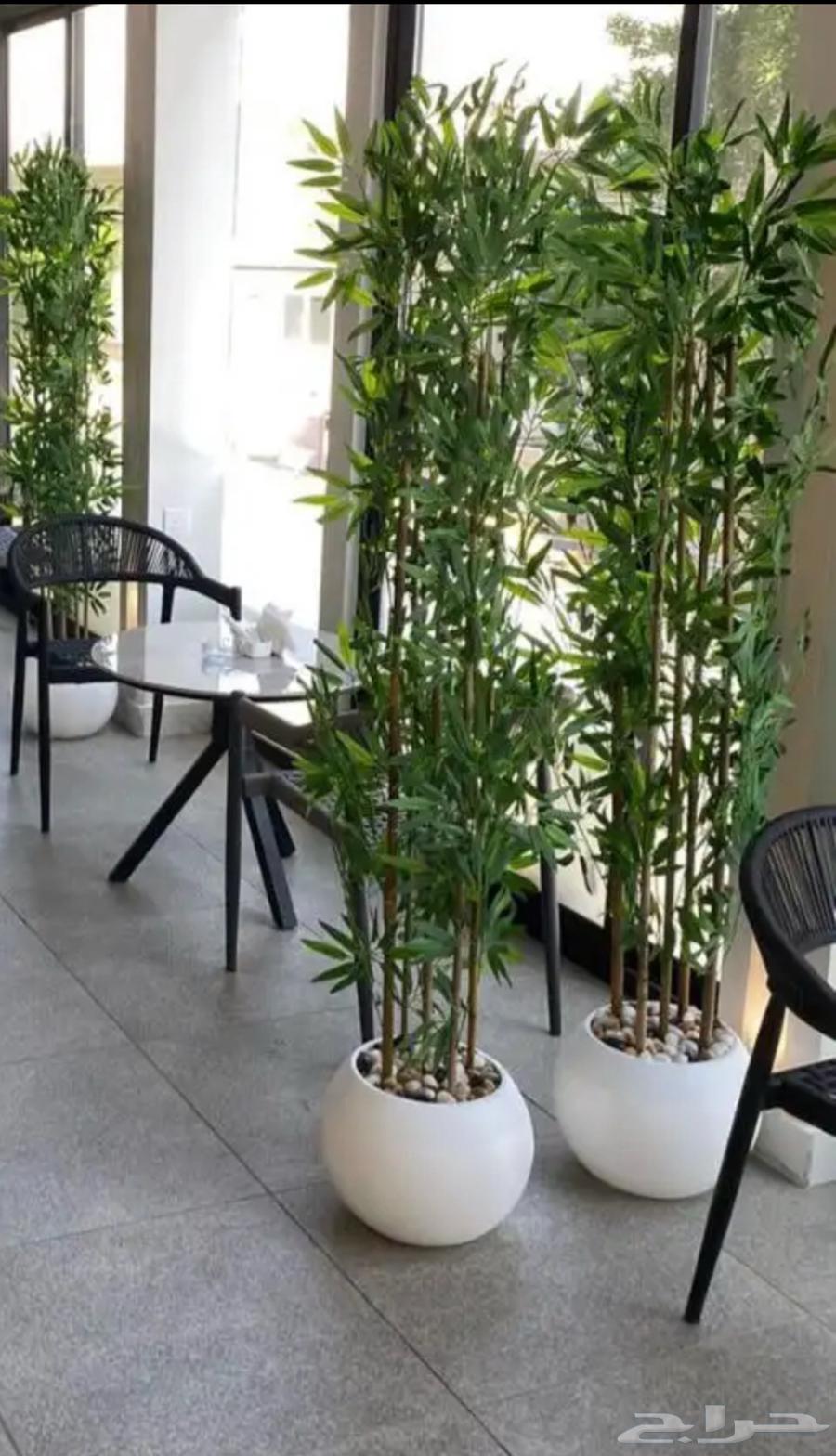 Artificial trees and fiber mirrors in all sizes64538092032897114