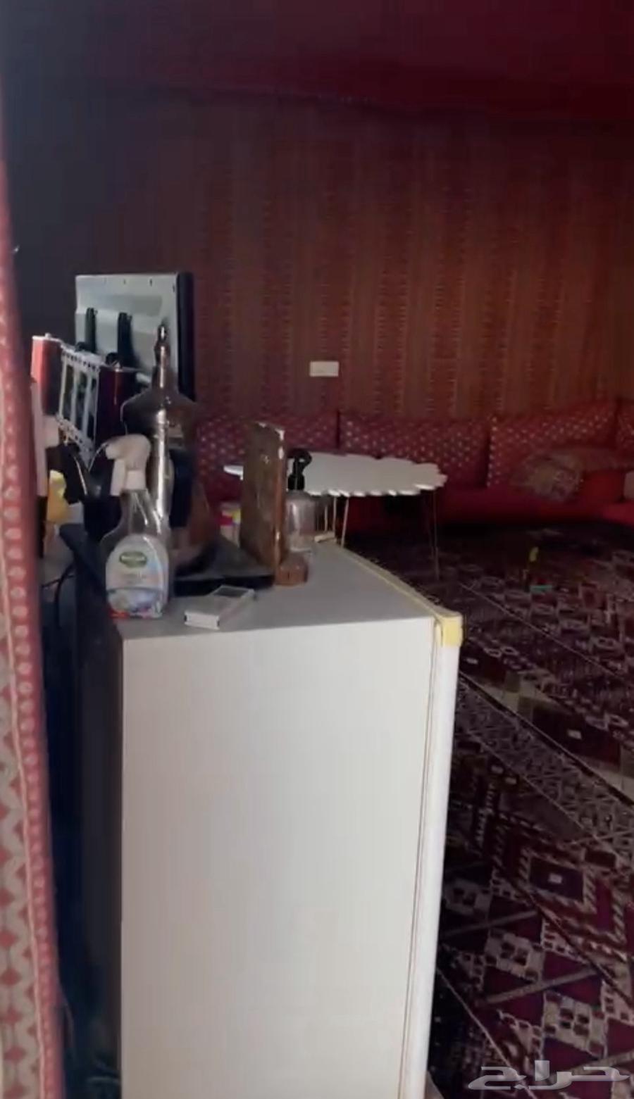 خيمه ملكيه64540524182657112