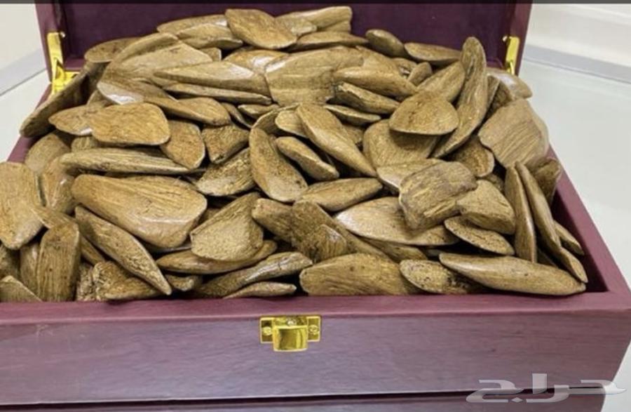 للبيع عود فاخر 3 انواع عود تايقر عود الكلمنتان عود المروكي64538289331586113