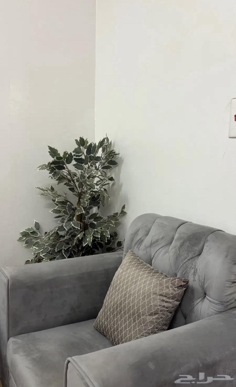 كنب للبيع64536823102467113