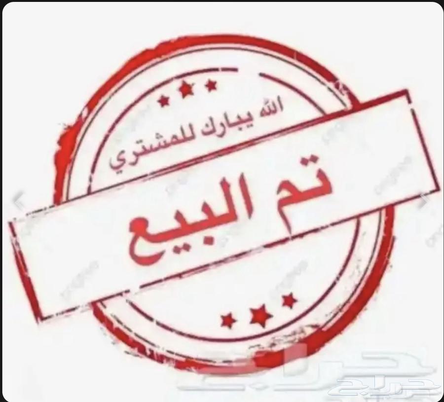 صوص فيومي شبابي64401842512898110