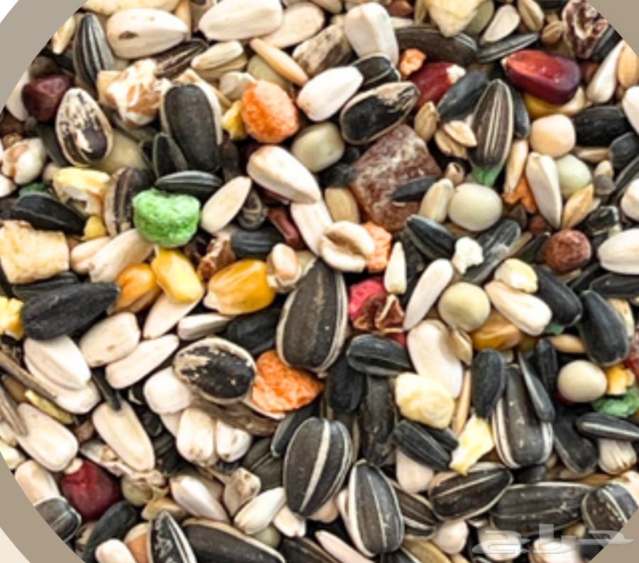 ترنيوتري طعام مشكل للببغاء64541250582401111