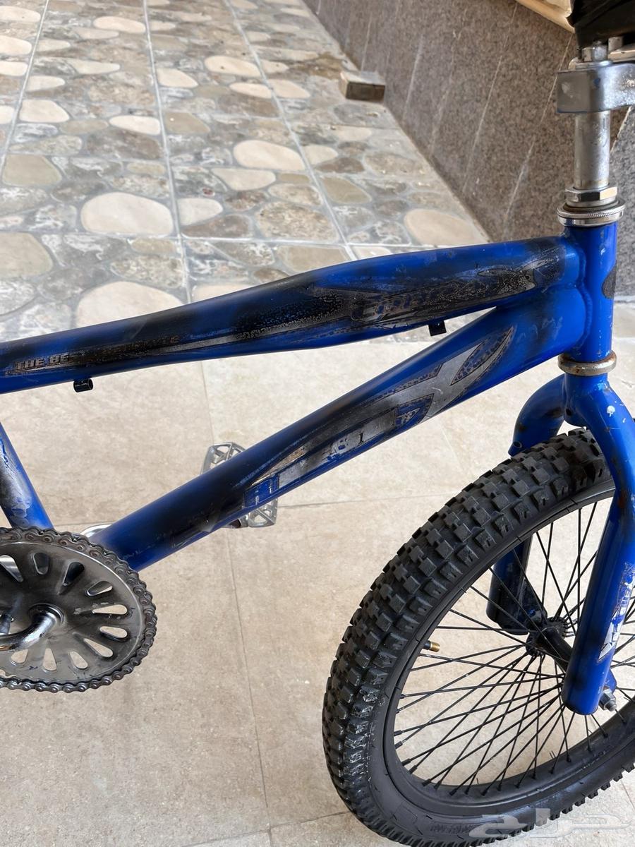 Cobra Cycle64540366248321114