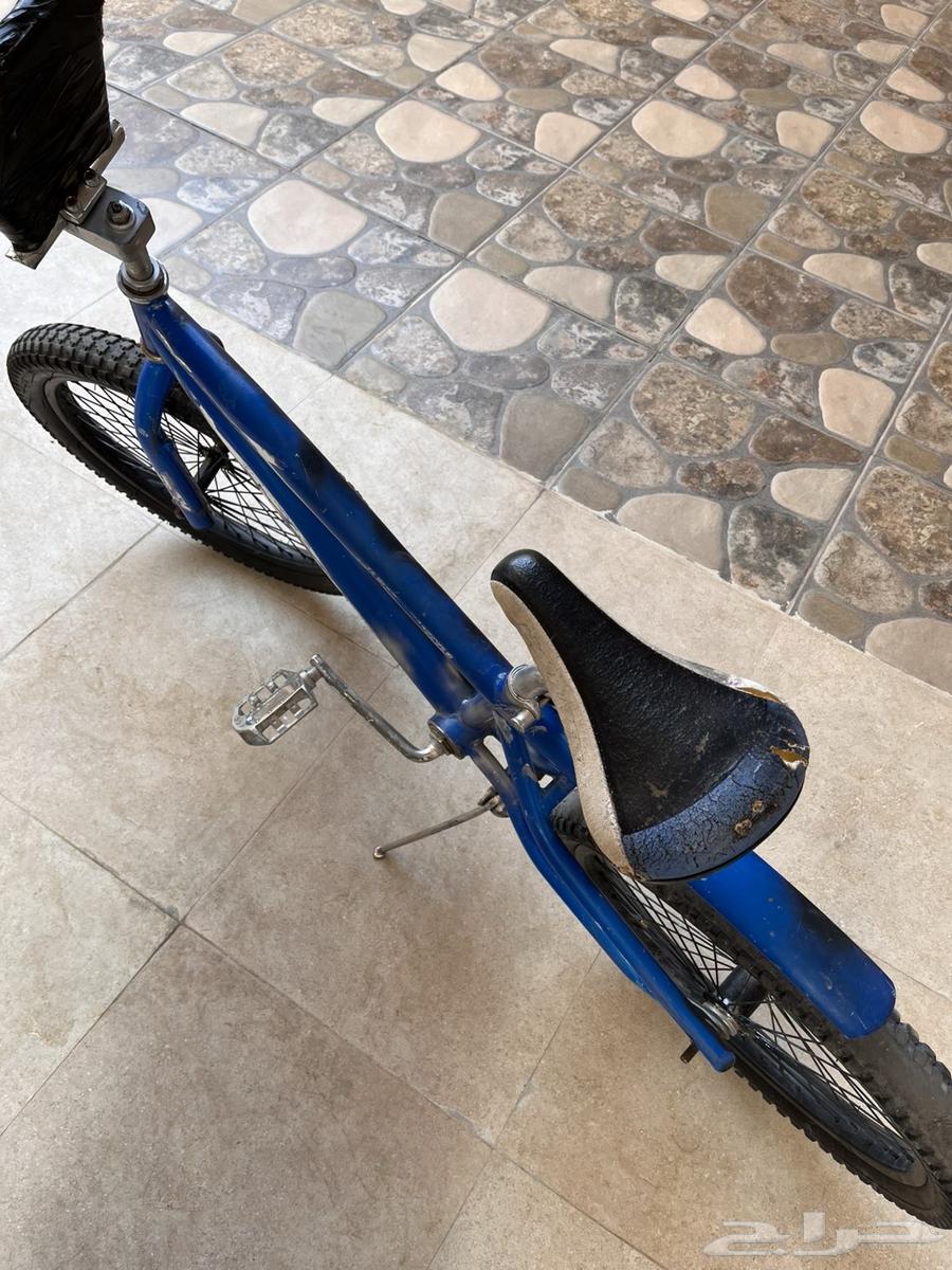 Cobra Cycle64540366248321113