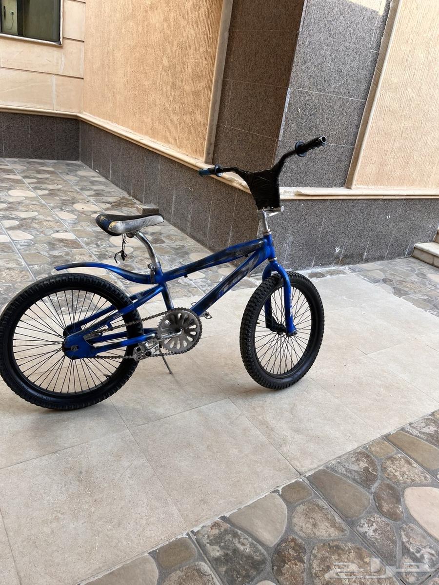 Cobra Cycle64540366248321111