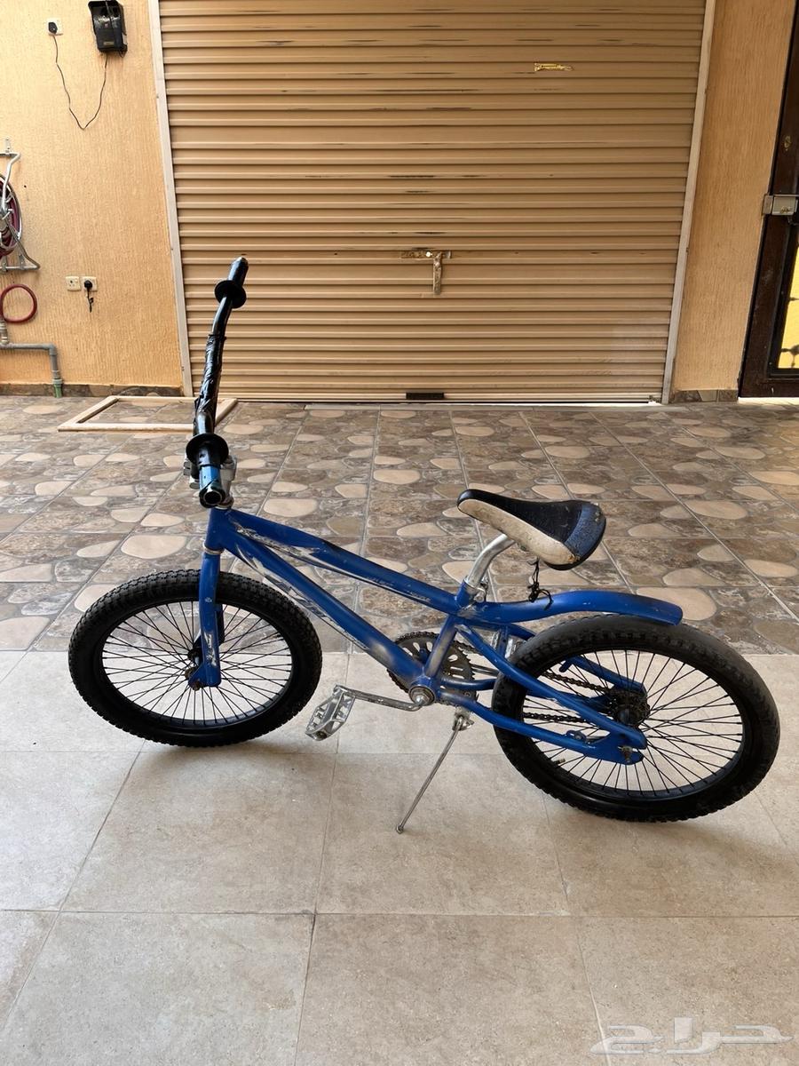 Cobra Cycle64540366248321110