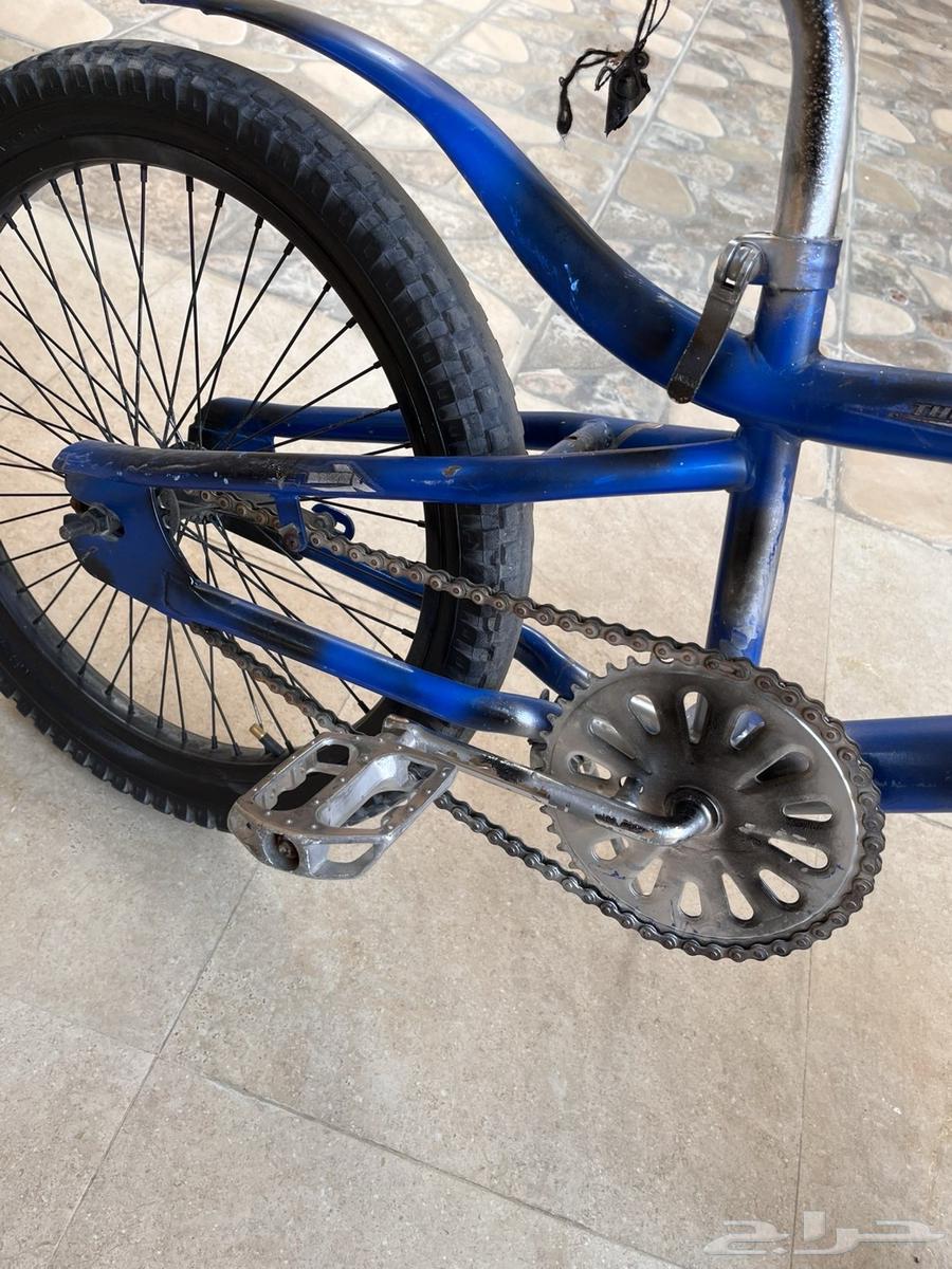 Cobra Cycle64540366248321112