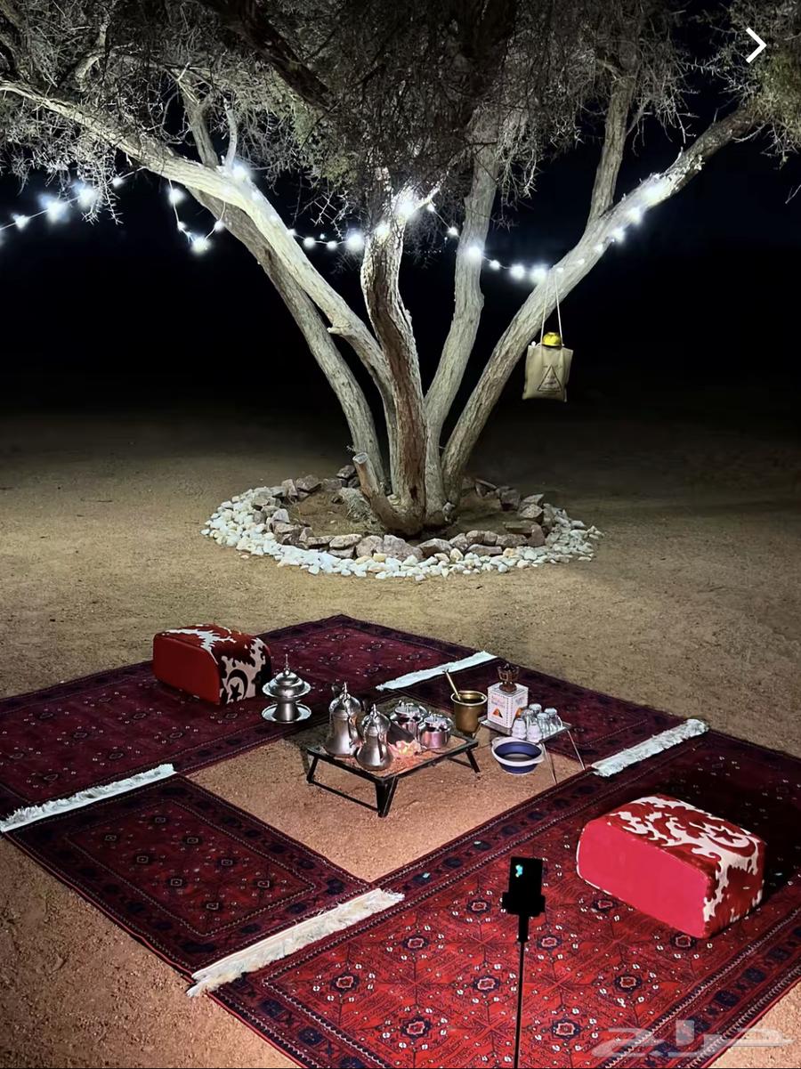 Najd Flashlight64539910364674110