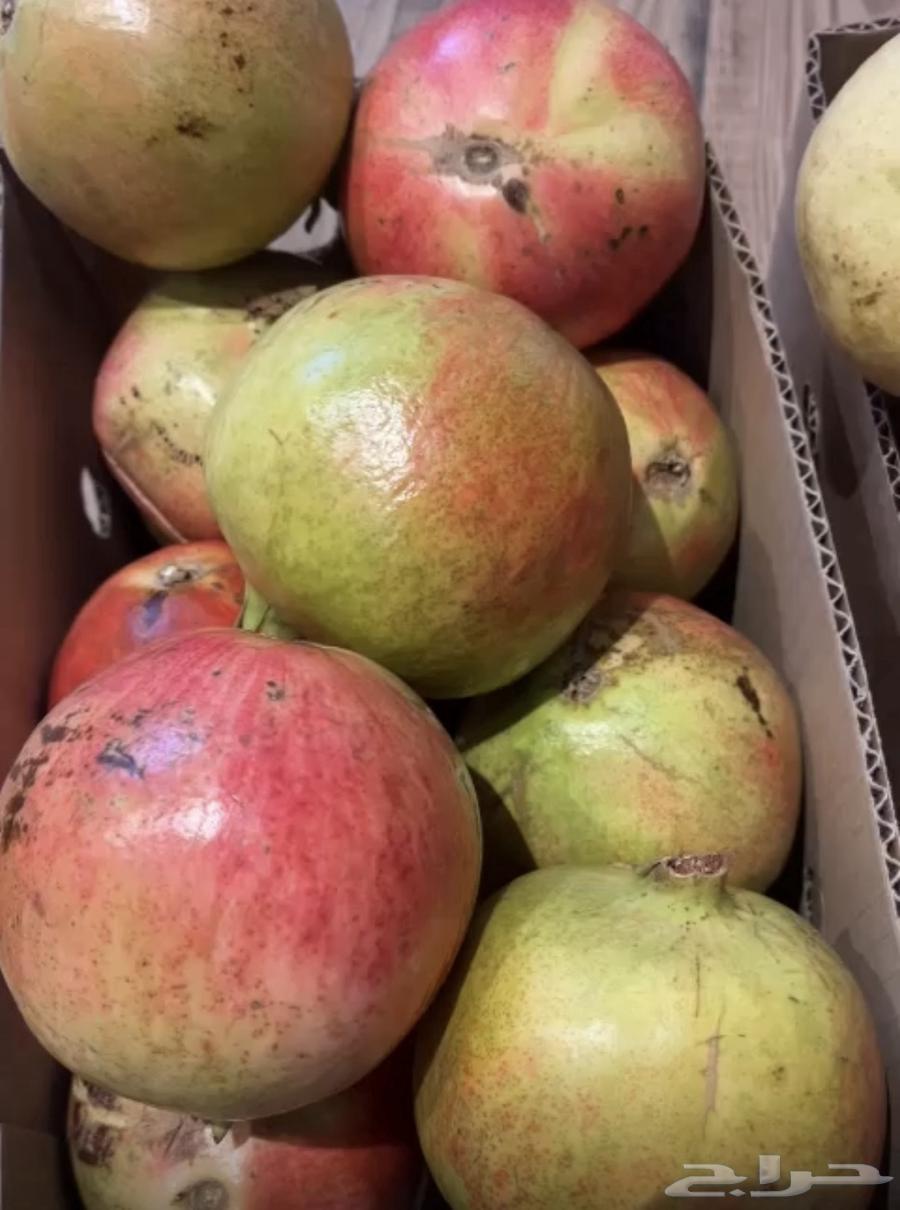 رمان طايفي شفوي (من الشفا الطائف)64541579897986110