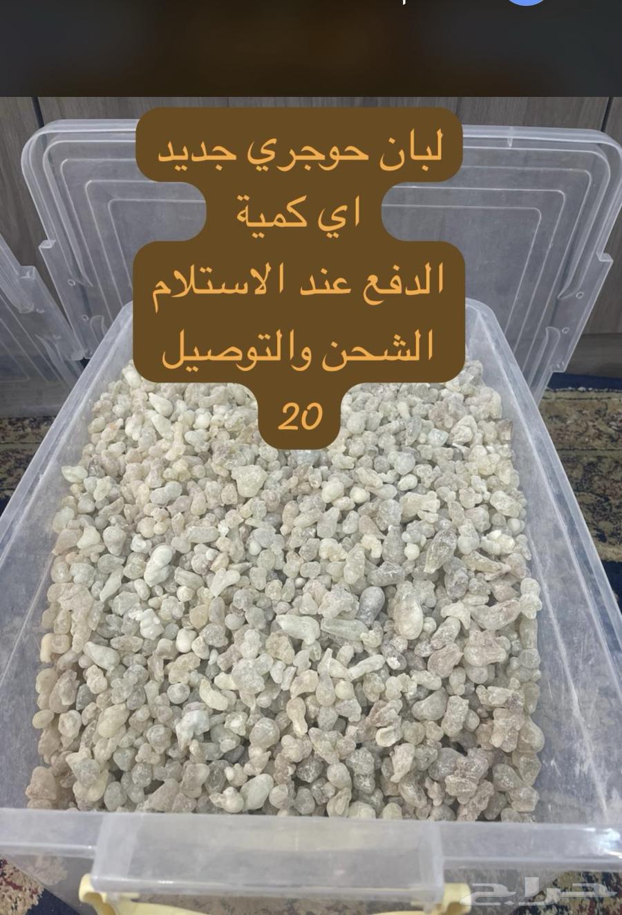 لبان ذكر حوجري64536348619521110