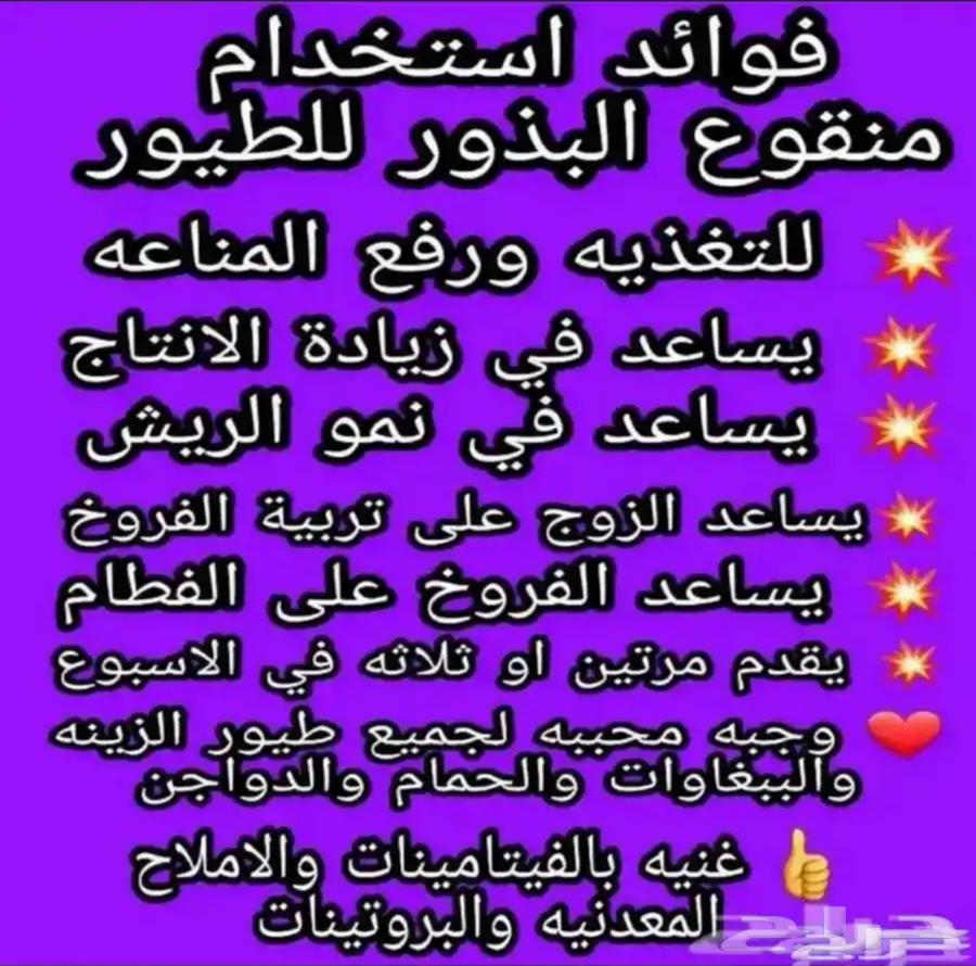 Bird Soak64542714642946111