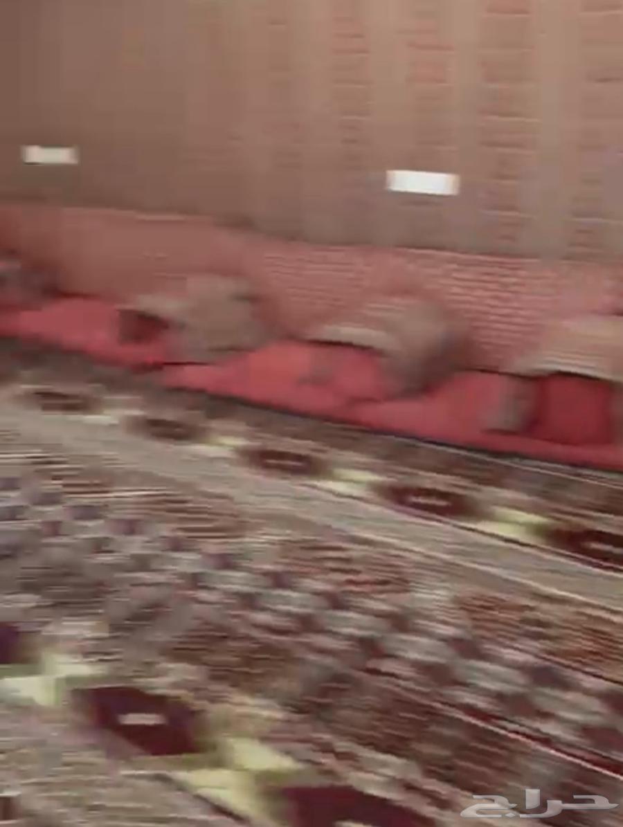 خيمه ملكيه64540524182657113