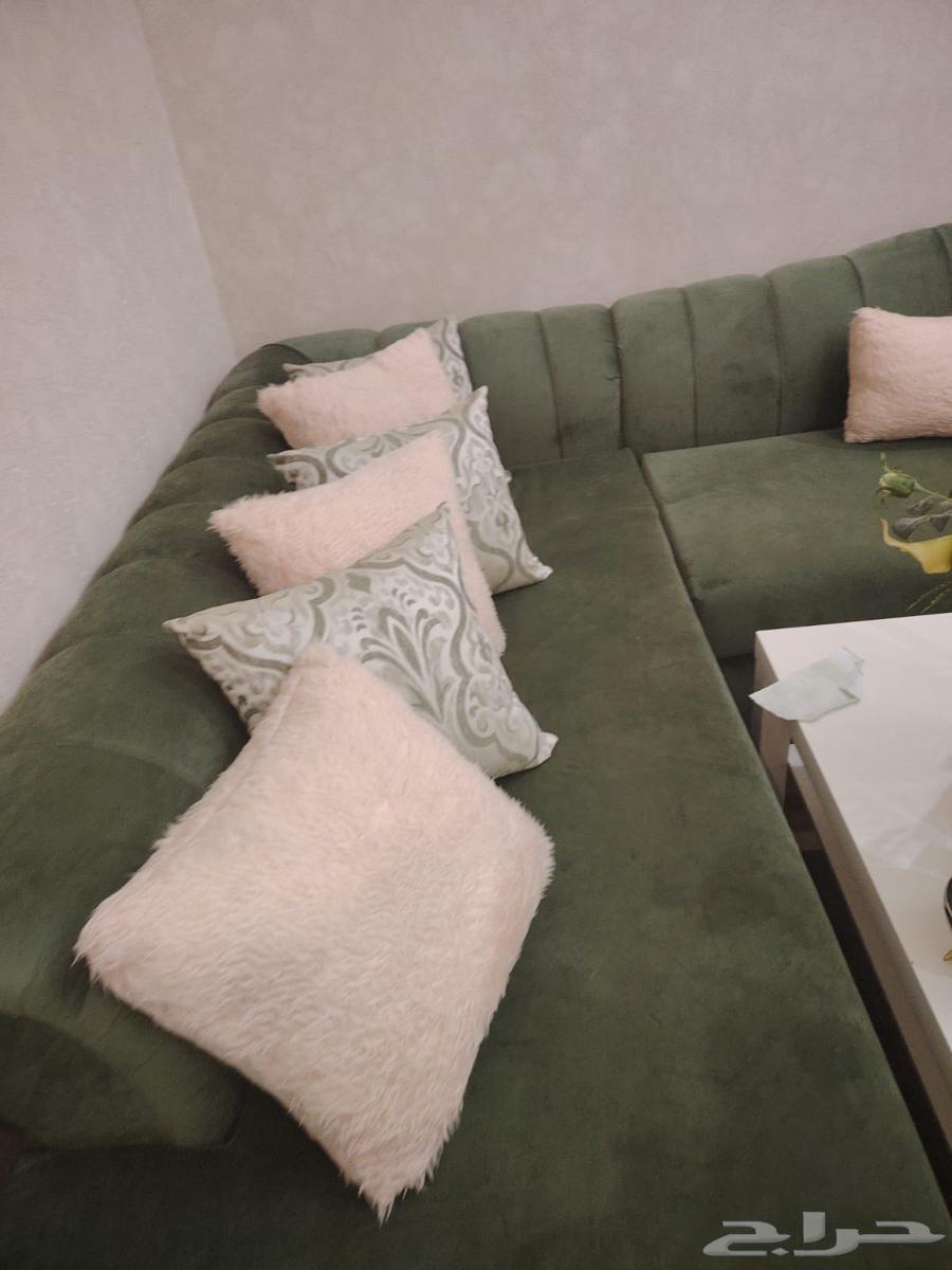 كنب زيتي حرف L64539358663171110