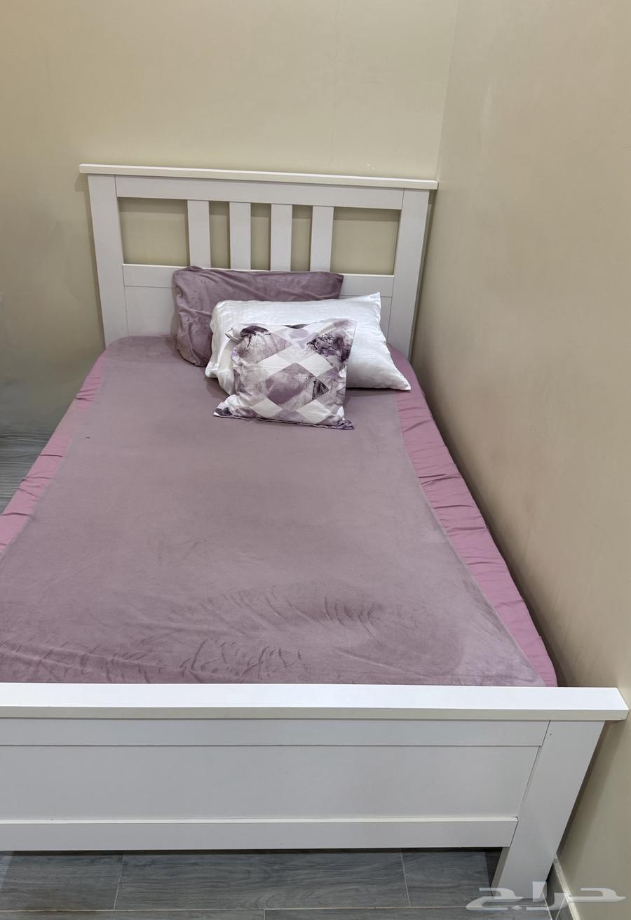 سريين للبيع64543351977474110