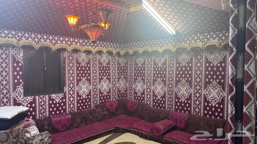 بيت شعر للبيع64537588682498110