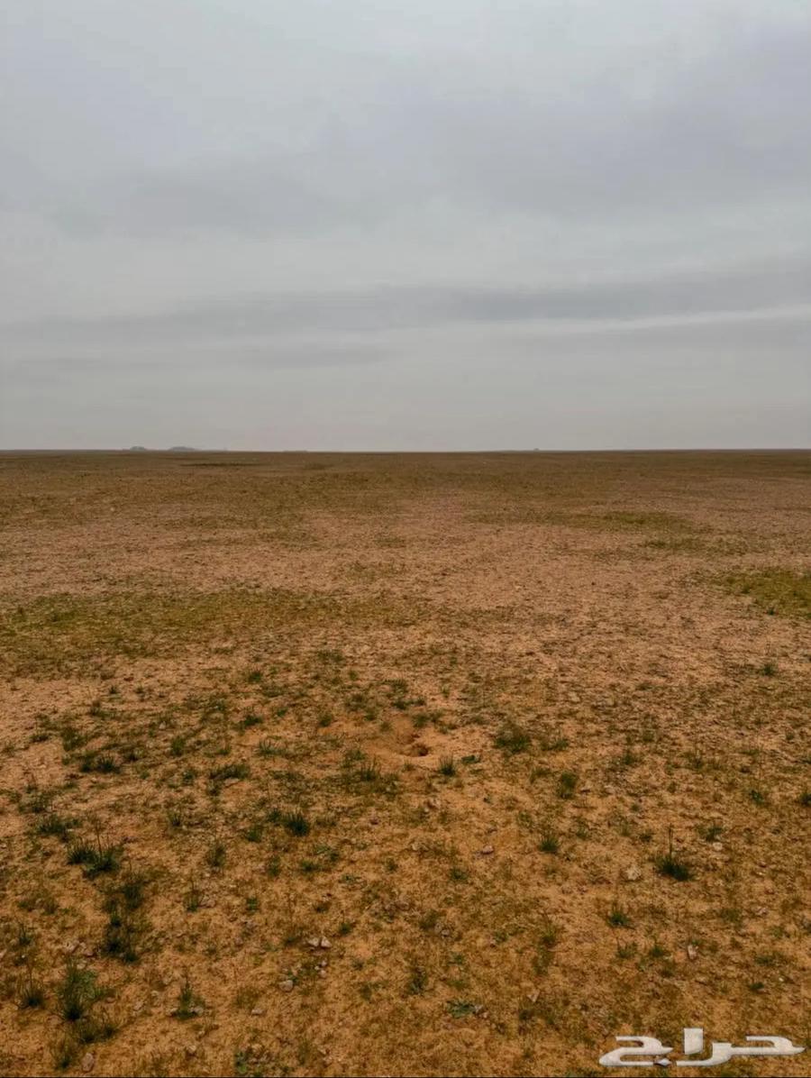 البيع مزرعة المساحة 200 الف السوم 220 الف64144641510787110