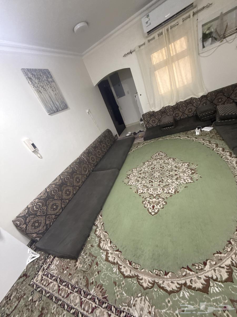 مجلس للبيع مجلس ارضي64539073588225111