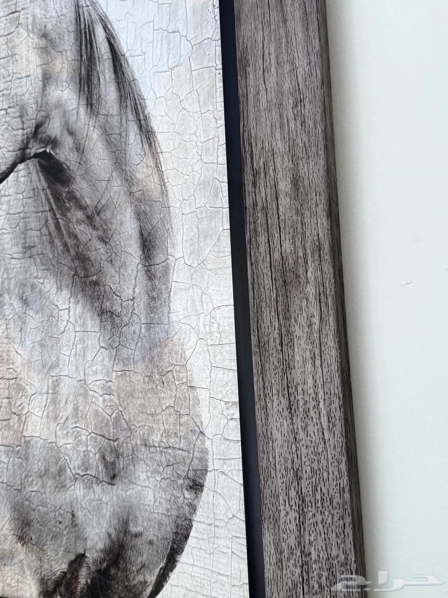 لوحات لوحه ديكور64538541953282112