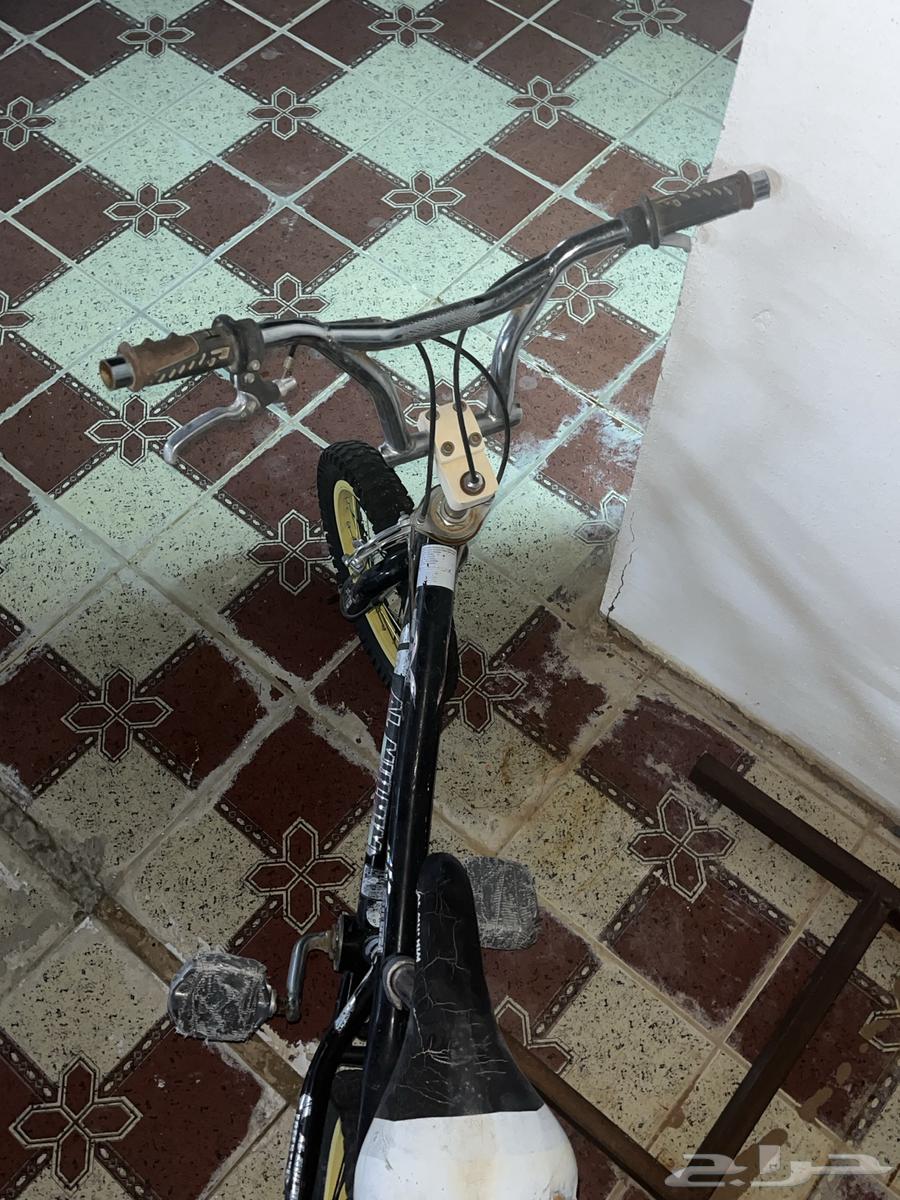 سيكل نظيف64541037009026110