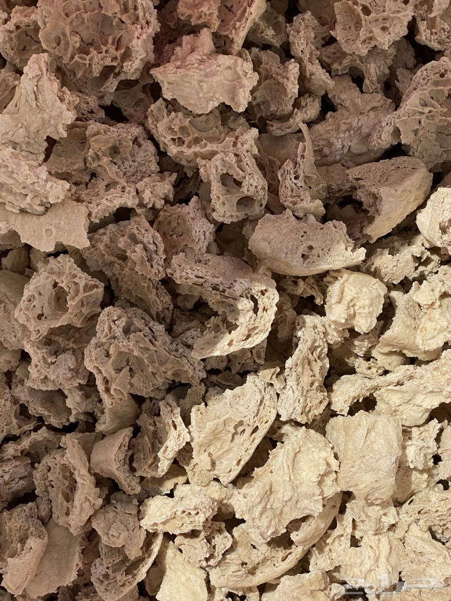 عجين للبيع64540935924482112