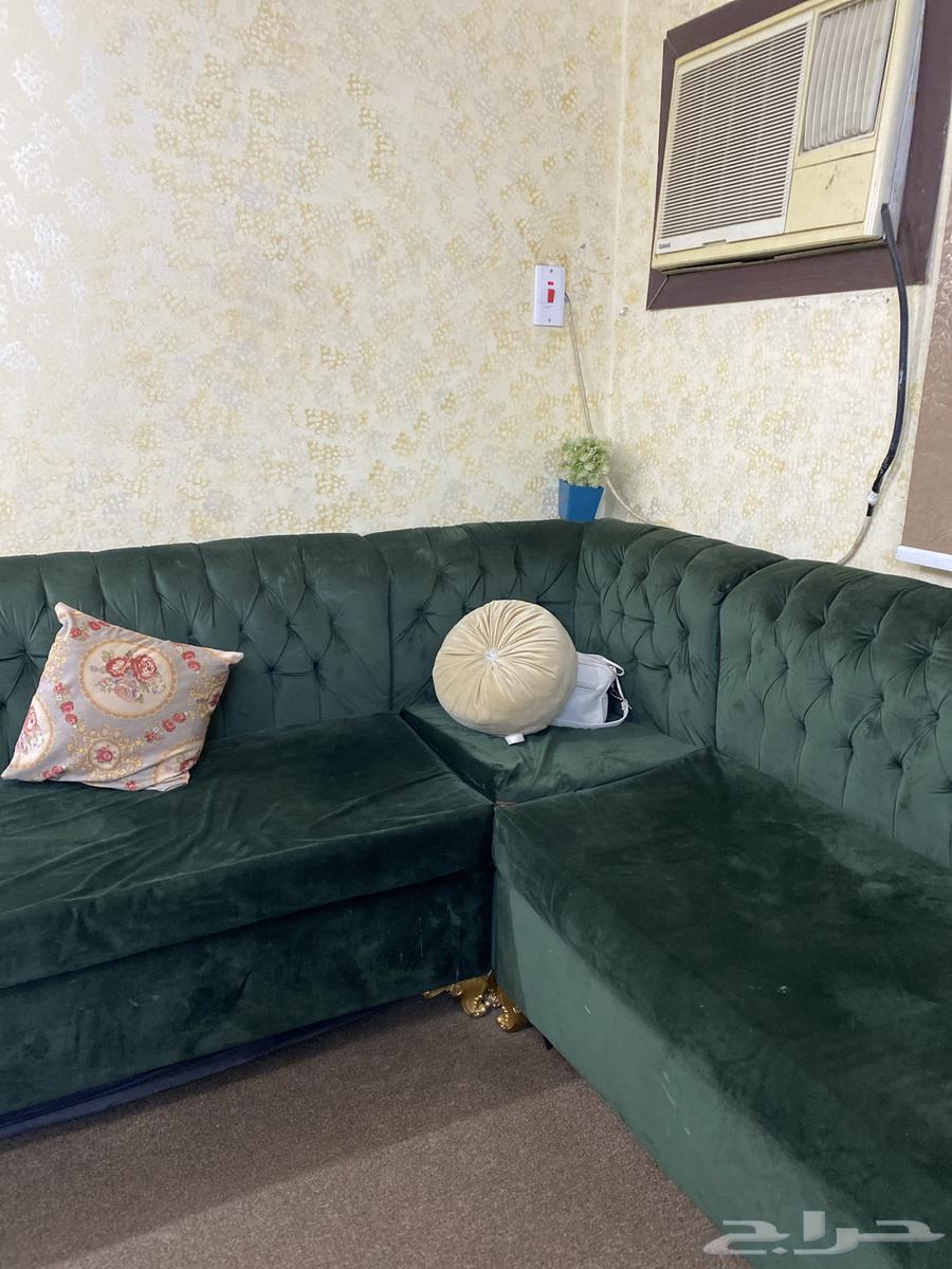 كنب زيتي فخامه64542969489282111