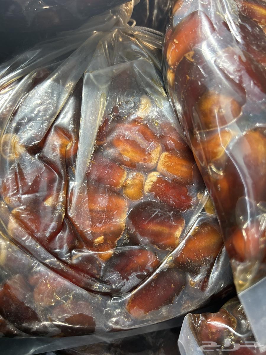 Tamr Salma64538401084163114