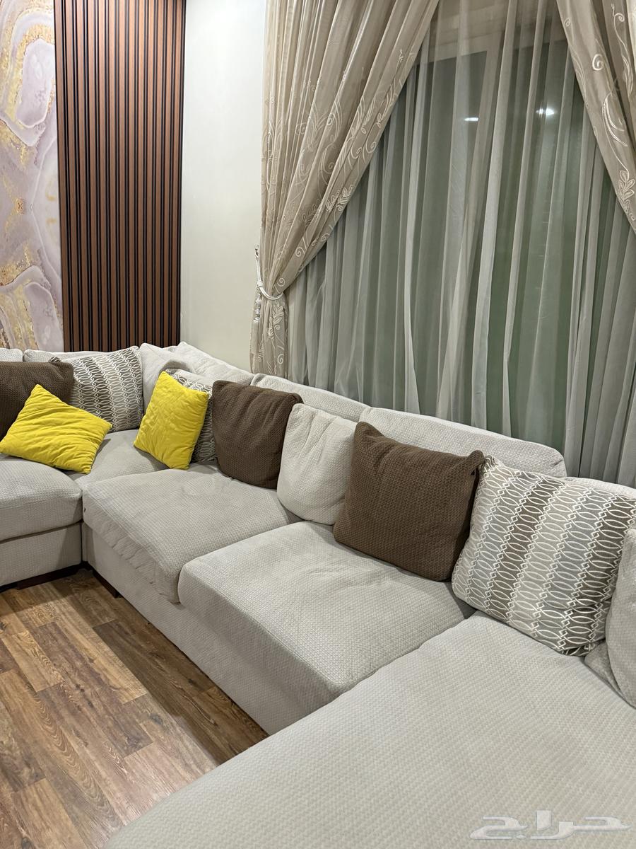 كنب رصاص أمريكي64542303117955110