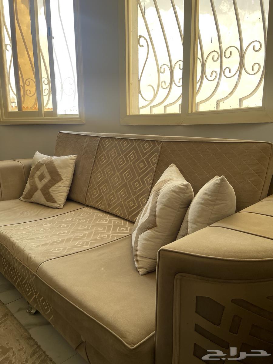 كنبتين نظيفة كل وحدة 100 ريال64538345314049112