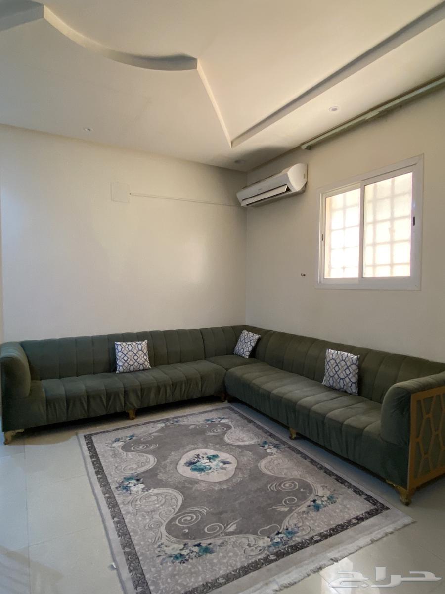 كنب مستخدم جديد لمدة سنة ب 1200 و قابل للتفويض64538120645251111