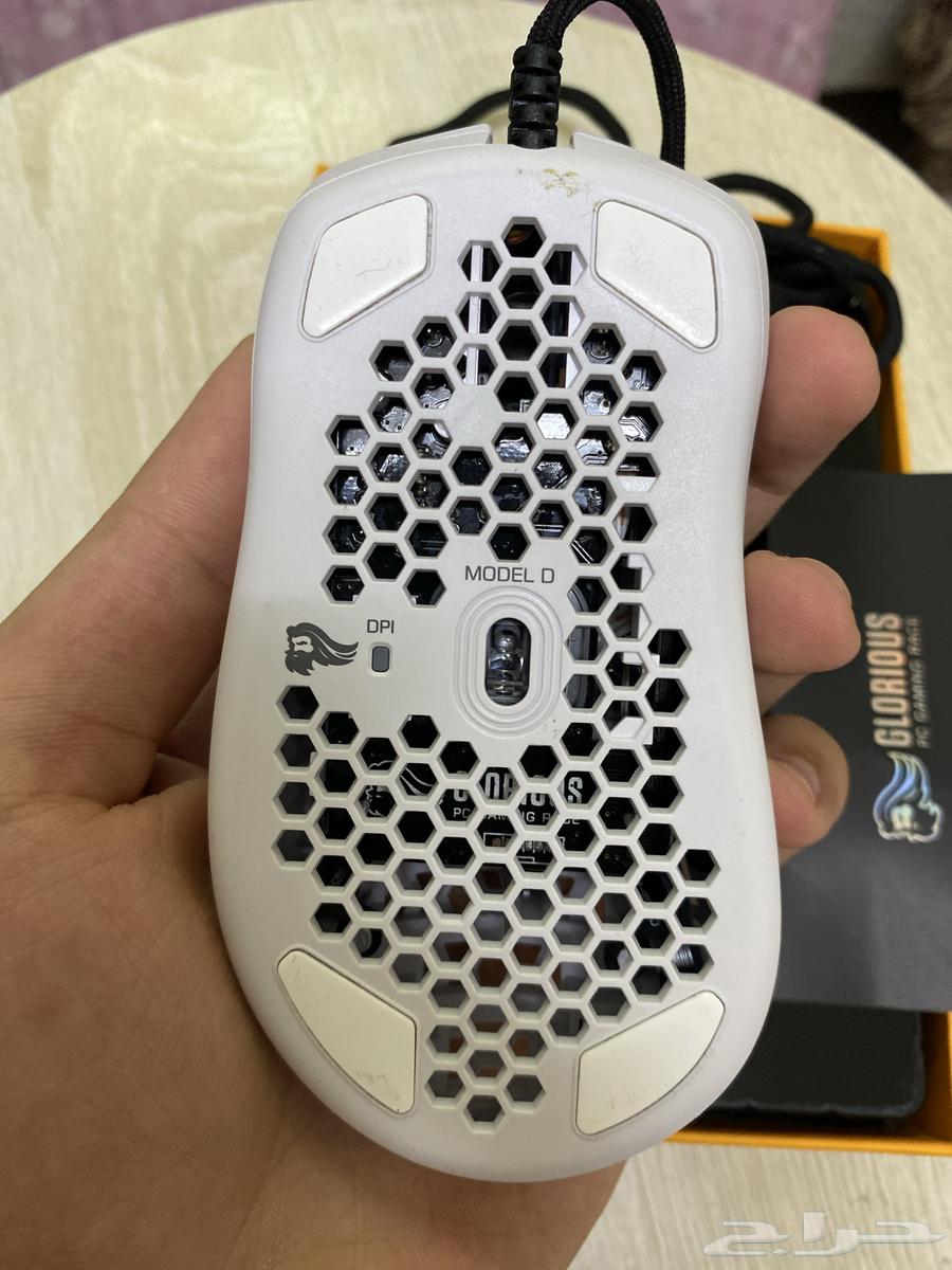Gloris White Model D Mouse64541221961729111