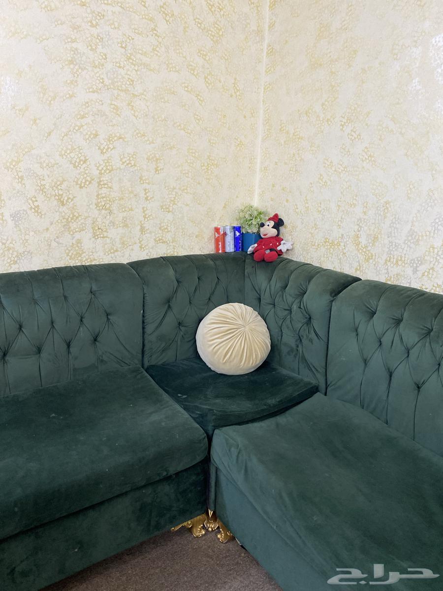 كنب زيتي فخامه64542969489282112