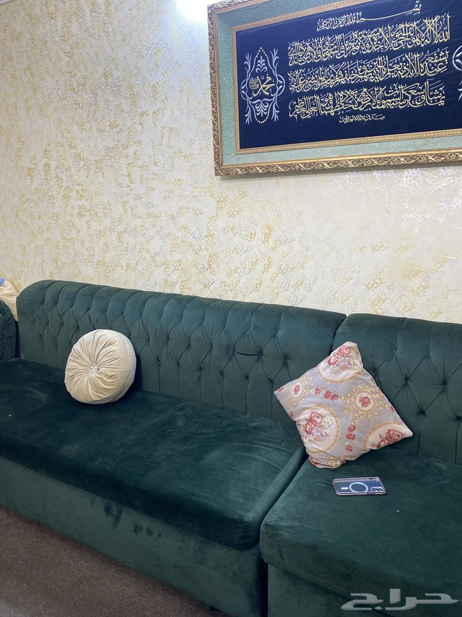 كنب زيتي فخامه64542969489282113