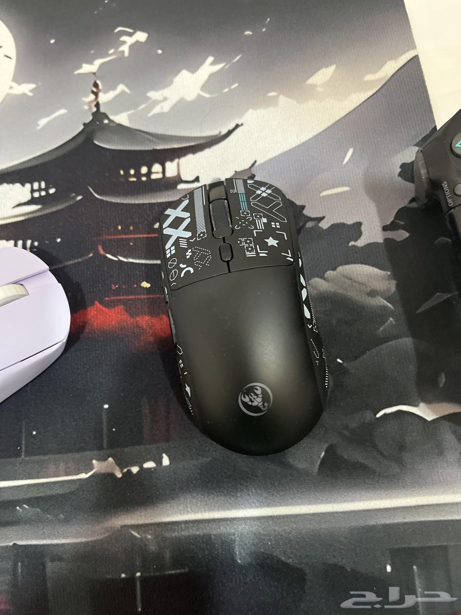 Keyboard and mouse, mouse64537169981441112