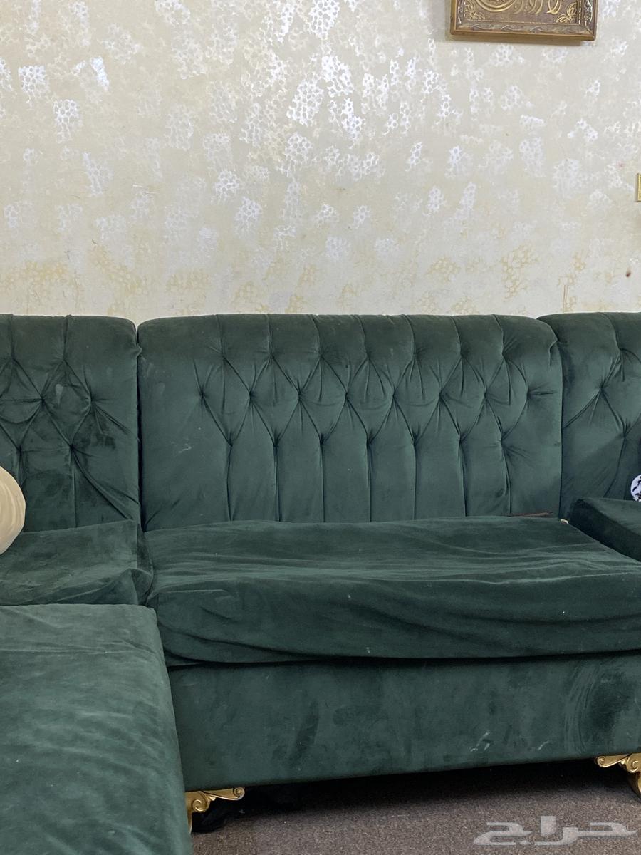 كنب زيتي فخامه64542969489282110