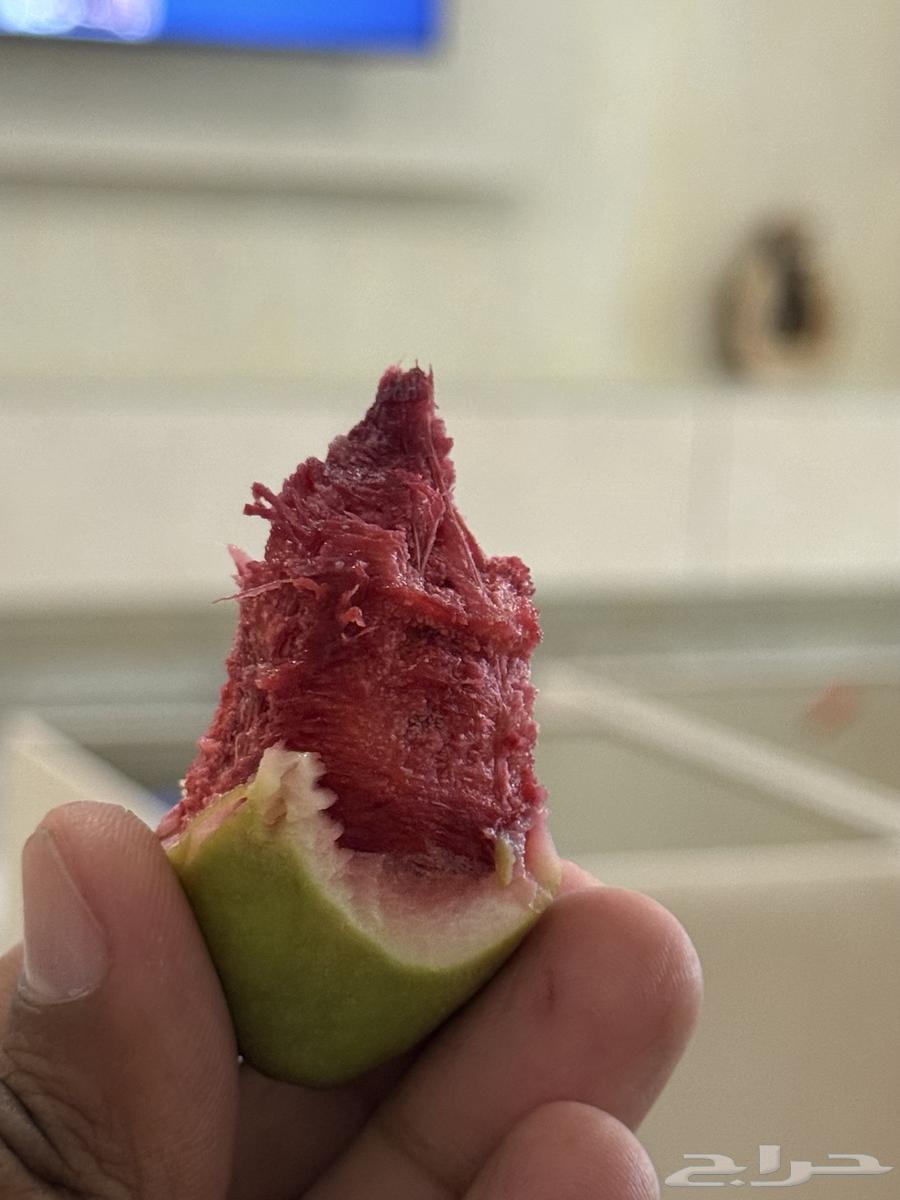 Fresh local almonds available in Jeddah, the fruit of the righteous64536739408002111