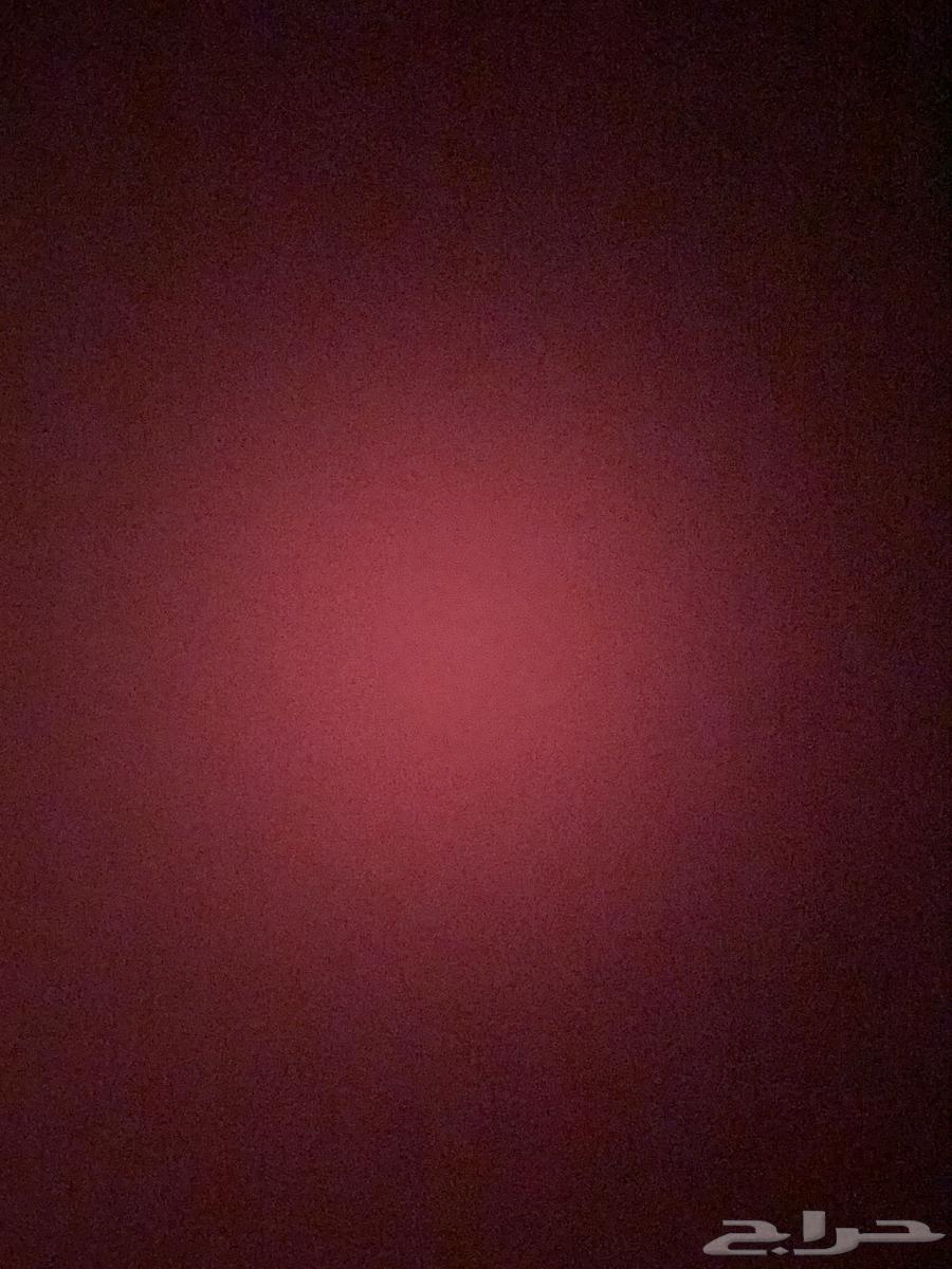 جميع مستلزمات القطط للبيع مستعمل64538289308035110