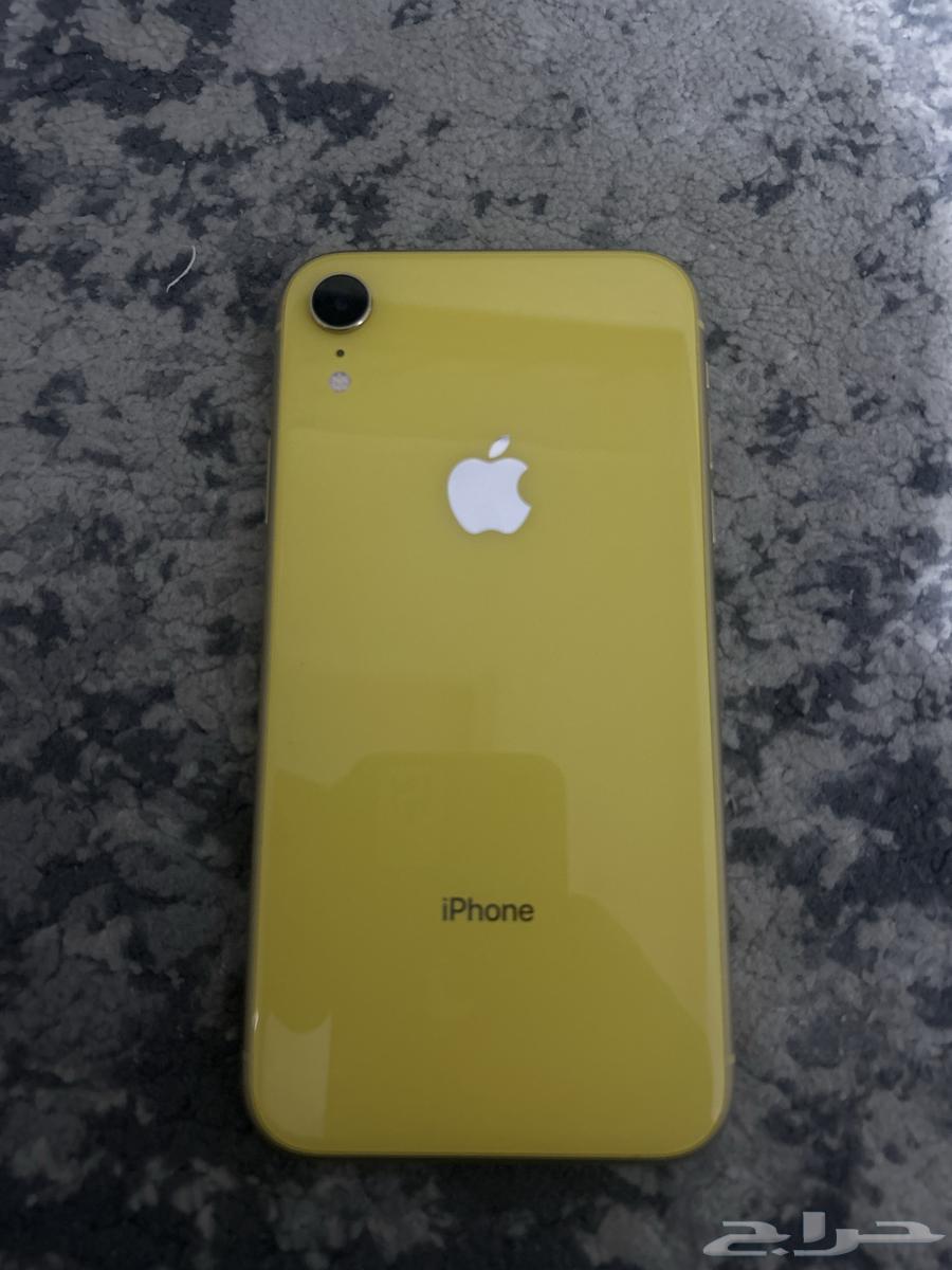 iPhone XR64536851028099110