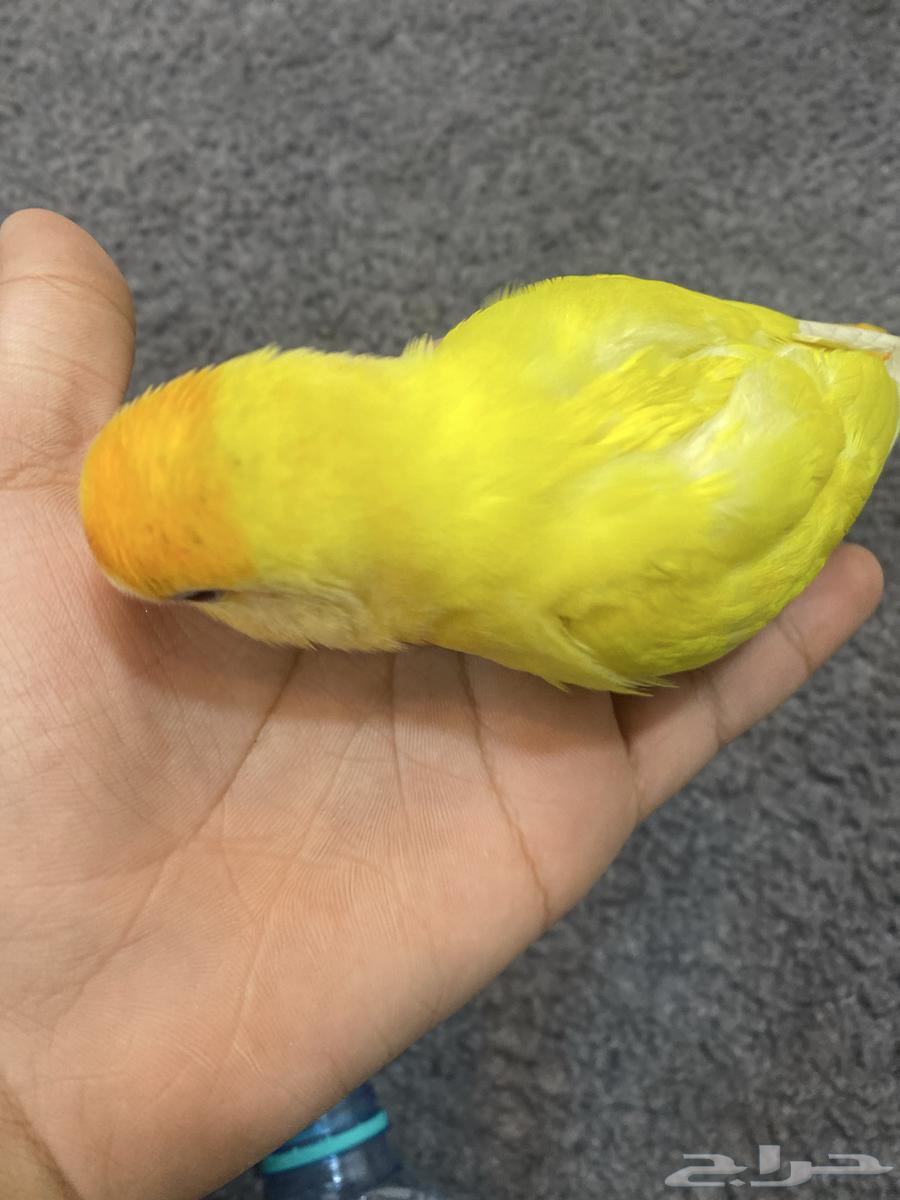 Day64541165378049110