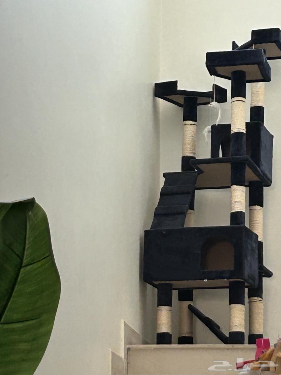 بيت قطط فخم كبير للبيع64537588706305110