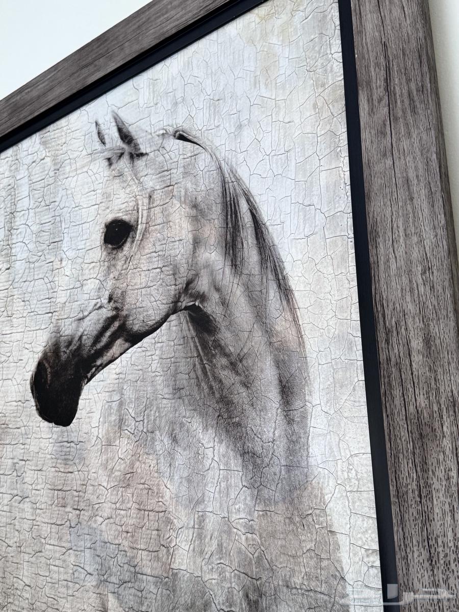 لوحات لوحه ديكور64538541953282114