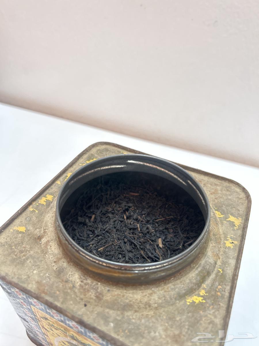 Shahi Al-Nasr (Aged)64539514537730112