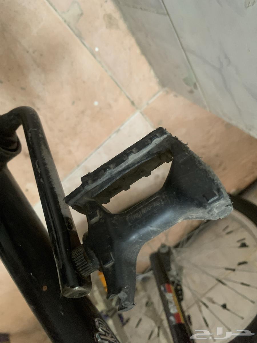 An authentic Andalusian Rambouille bicycle in good condition64540252480387113