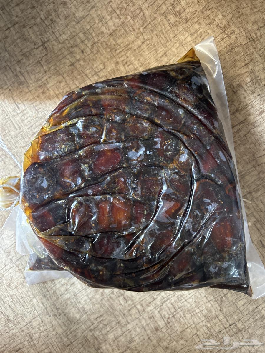 Tamr Salma64538401084163112