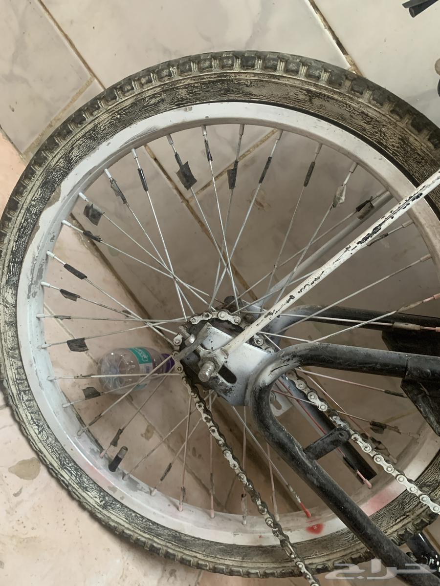 An authentic Andalusian Rambouille bicycle in good condition64540252480387112